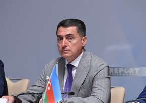 Али Гусейнли: Обсуждается вопрос выдачи диппаспортов заместителям председателя и секретарям ЦИК
