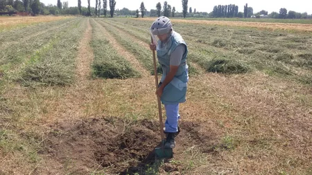 Tərtər və Füzuli rayonlarında partlamamış hərbi sursatlar aşkar olunub