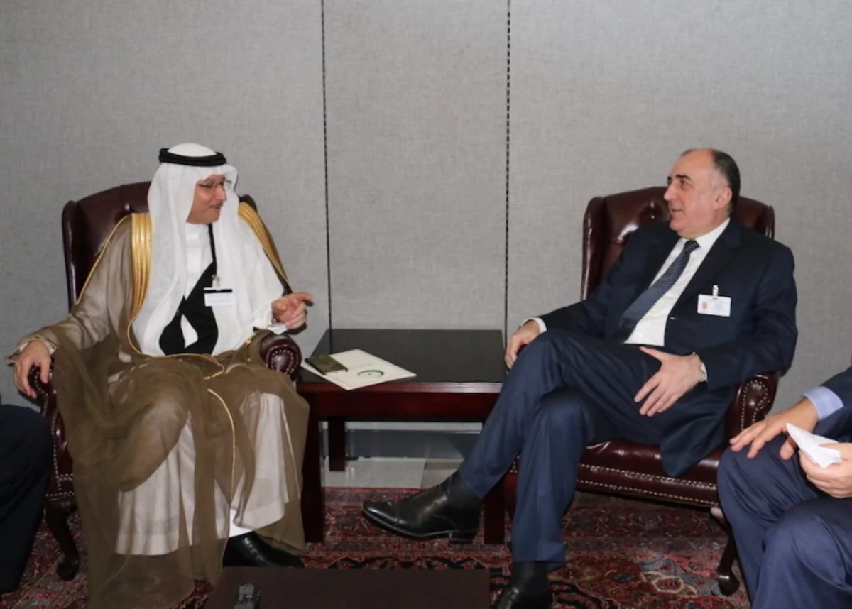 Azerbaijan's Foreign Minister meets OIC Secretary General