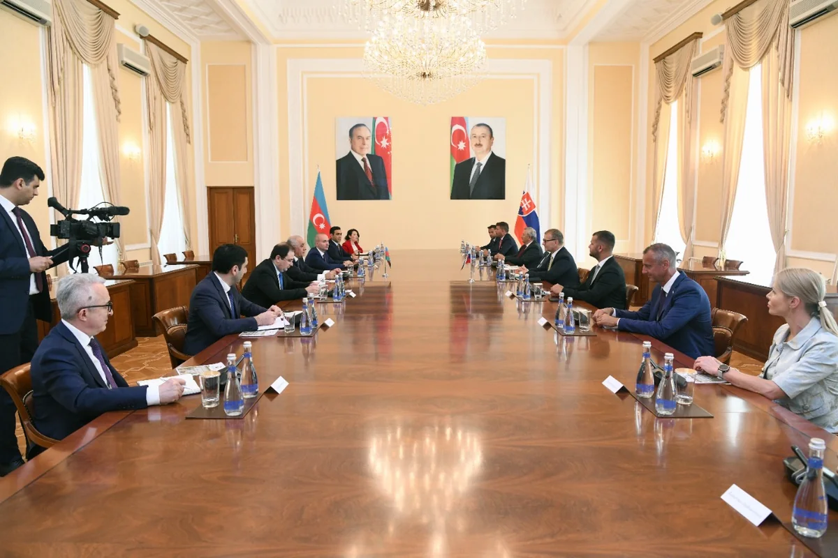 Əli Əsədov Slovakiya Milli Şurasının sədri ilə görüşüb