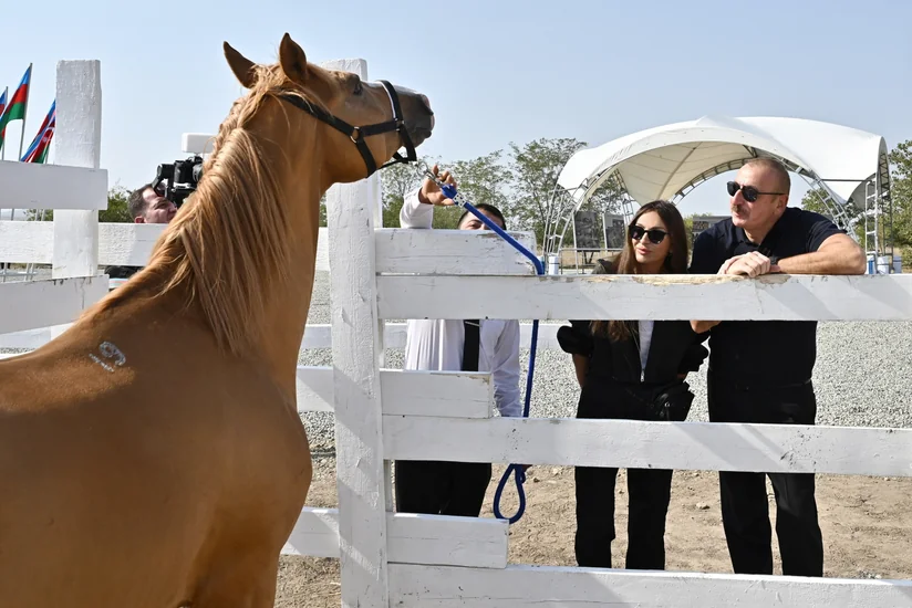 Ilham Aliyev and Mehriban Aliyeva lay foundation of Horse Breeding Center in Aghdam
