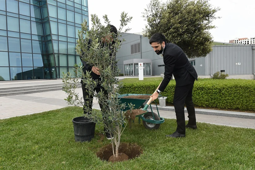 SOCAR провела акцию по посадке деревьев в рамках Года Гейдара Алиева
