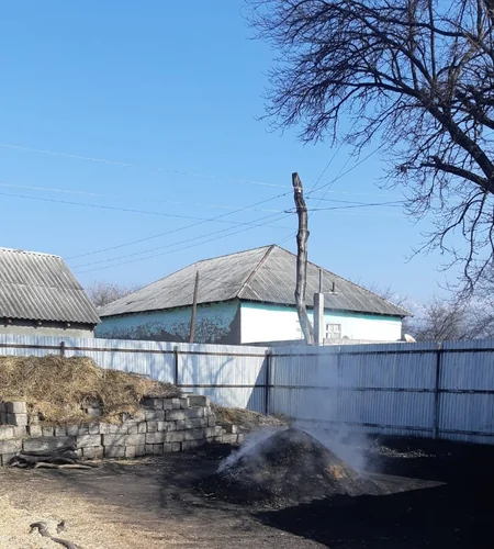 Üç rayonda 5 qanunsuz kömür quyusu aşkarlanıb