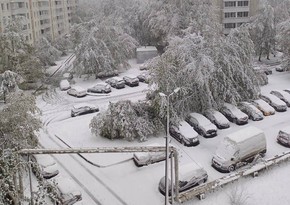 В Подмосковье из-за снегопада без электроэнергии остались 26 тыс. человек