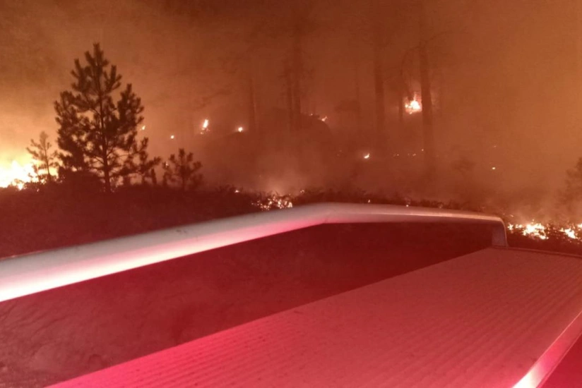 Türkiyənin iki vilayətində meşə yanır