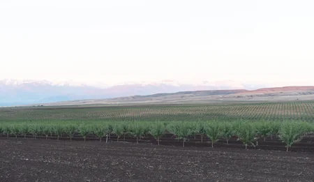 President Ilham Aliyev attends opening of Gakh Agropark