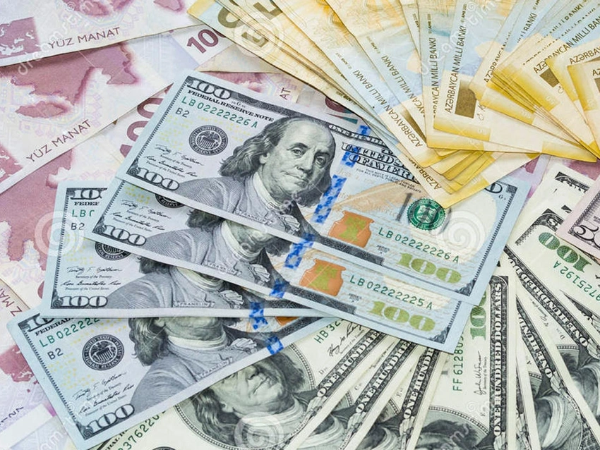 Report: Manatın dövretmə sürəti tədricən azalacaq