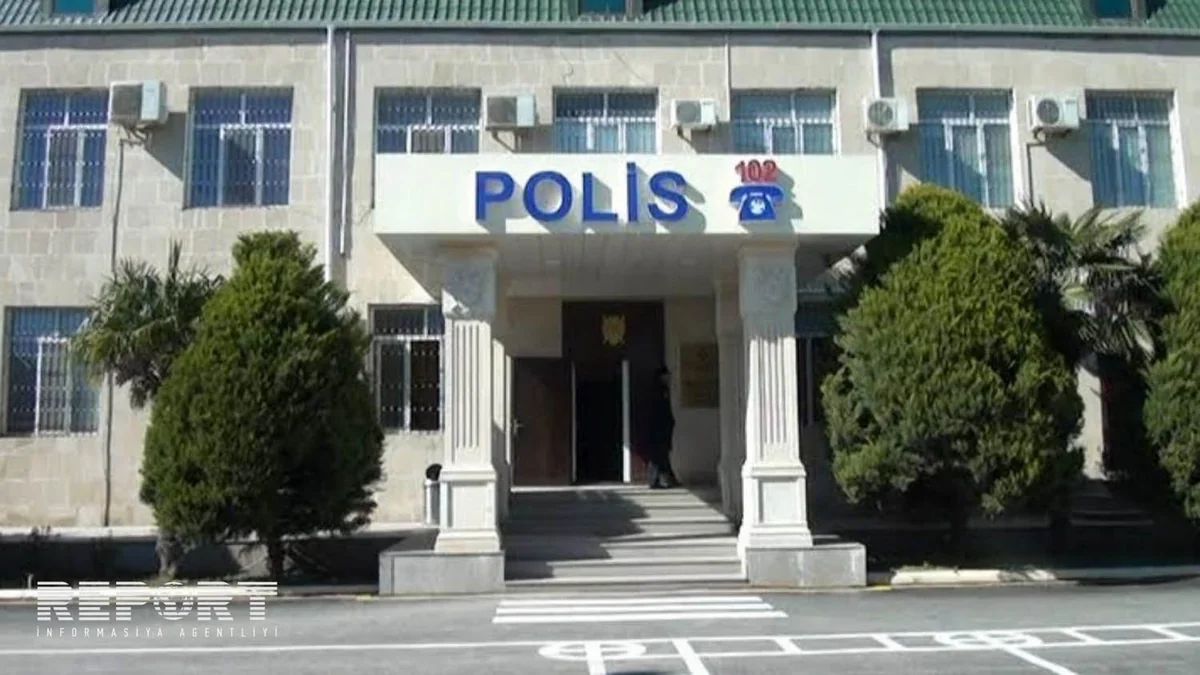 Salyanda kürəkən qayınatasına məxsus mal-qaranı oğurlayıb