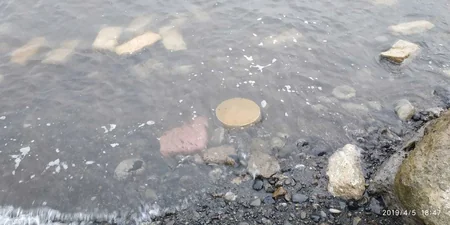 Lənkəran şəhərində mina aşkar olunub  - FOTO