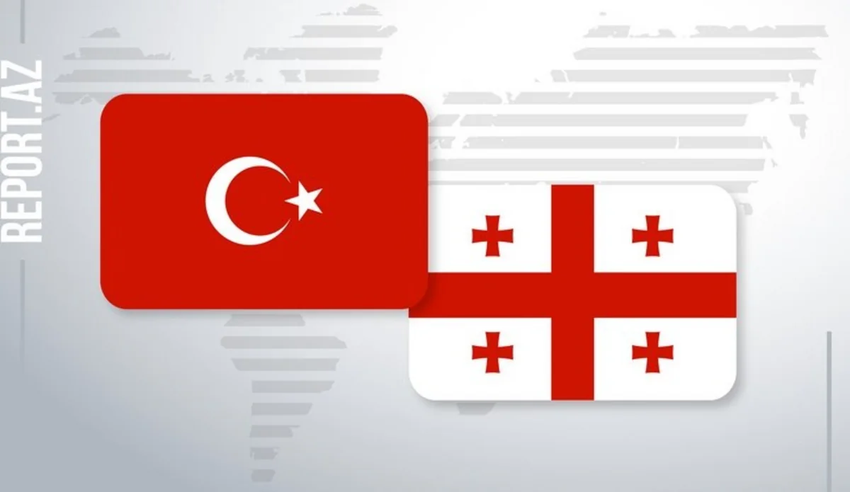 Turkey may establish joint military enterprises in Georgia