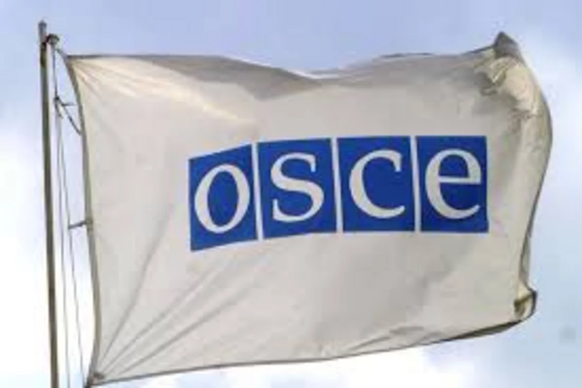 ​OSCE expressed deep concern after coup attempt in Turkey