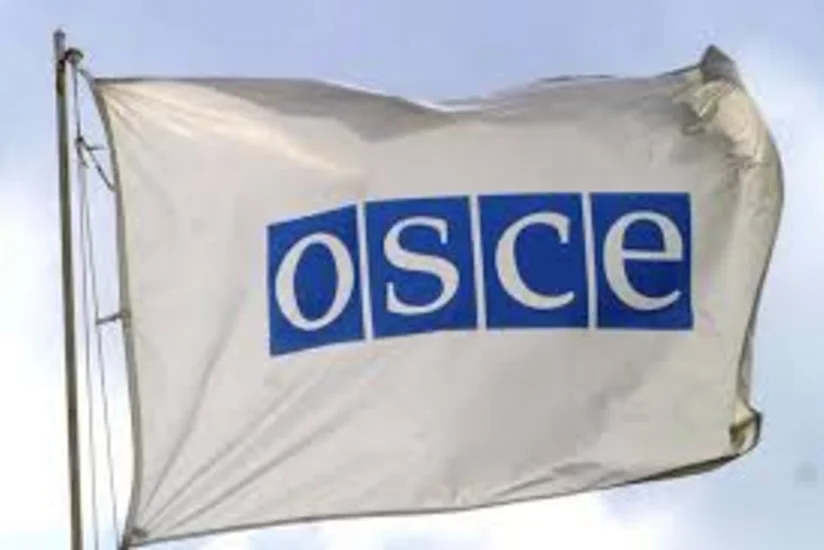 ОБСЕ выразило обеспокоенность попыткой госпереворота в Турции