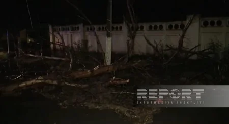 Сильный ветер и ливень вызвали ряд последствий в Гёйчае