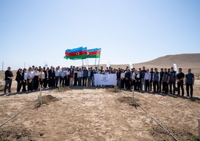 Ekologiya və Təbii Sərvətlər Nazirliyi işçiləri peşə bayramını qeyd ediblər