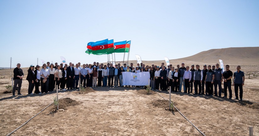 Ekologiya və Təbii Sərvətlər Nazirliyi işçiləri peşə bayramını qeyd ediblər
