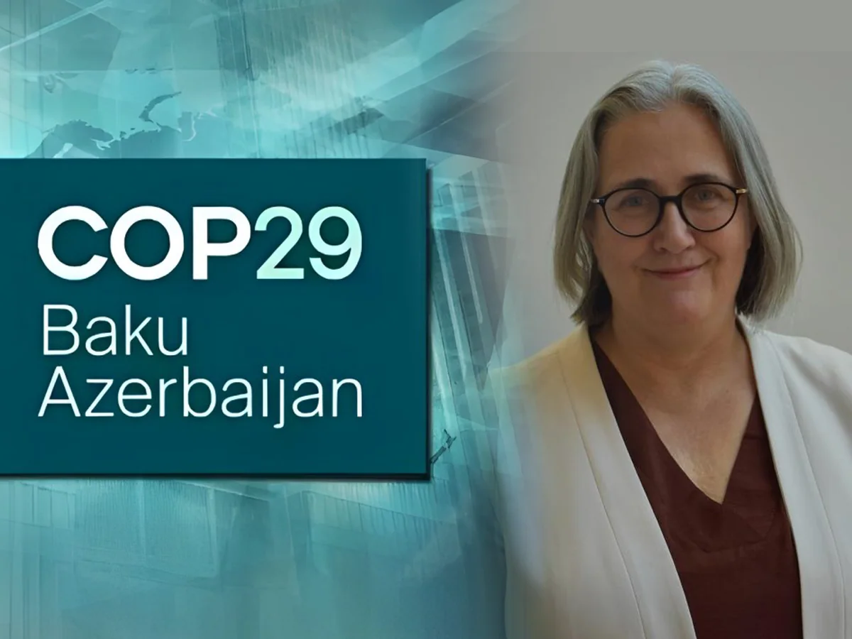 WCO official: Green Customs Action Plan allows for joint environmental initiatives