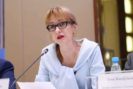 Azerbaijan presents project to support reforms in penitentiary system