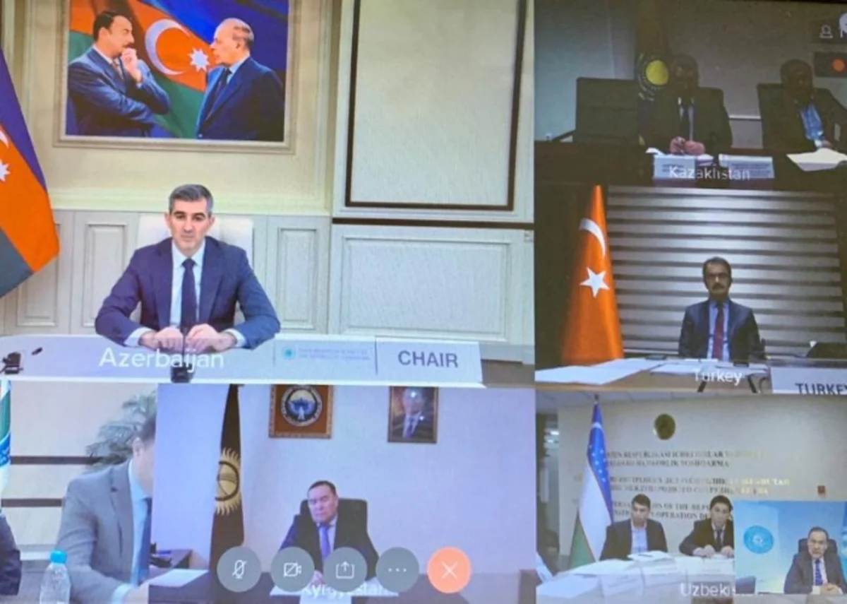 Heads of Turkic Council's Migration Services discuss cooperation amidst pandemic