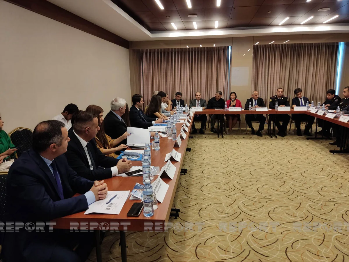 Bakıda sahibsiz itlərlə mübarizə gücləndiriləcək