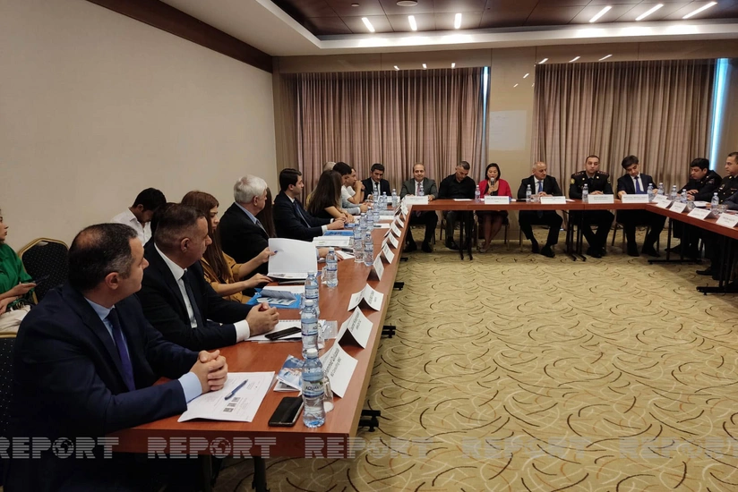 Bakıda sahibsiz itlərlə mübarizə gücləndiriləcək