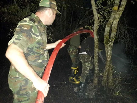 FHN meşə yanğınları ilə bağlı məlumat yayıb