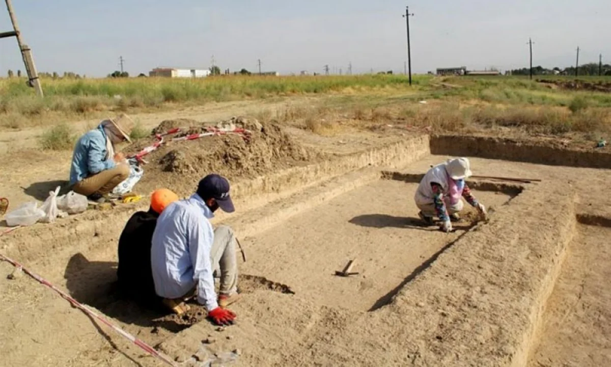 Lənkəran və Lerikdə yeni arxeoloji abidələr aşkarlanıb