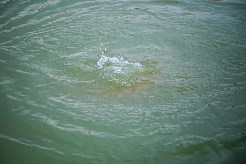 Bərdədə 17 yaşlı qız kanalda batıb