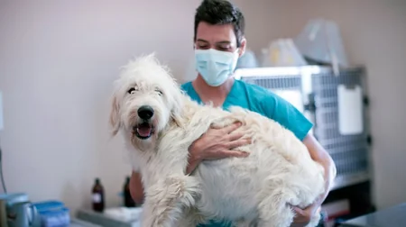 Biggest myths about coronavirus busted