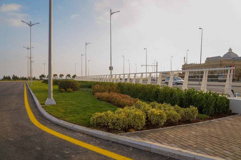 Dövlət Bayrağı Meydanında 54 min müxtəlif kol və çiçək əkilib