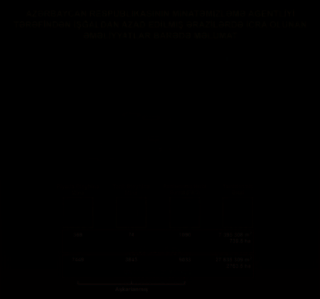 Azad olunan ərazilərdə aşkarlanan minaların sayı açıqlanıb