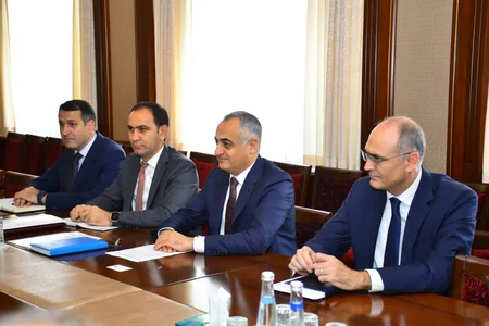 Naxçıvanda səhiyyə islahatları barədə ÜST nümayəndə heyətinə məlumat verilib