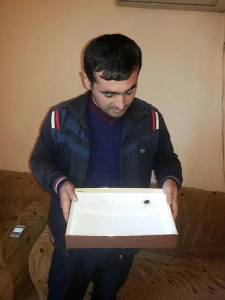 90 min dollarlıq böcəyə qulluq edən Siyəzən sakini onu satmağa çalışır - FOTO