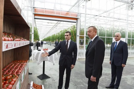 Prezident İlham Əliyev Zirə qəsəbəsində “BAKU AGROPARK”da görülən işlərlə tanış olub