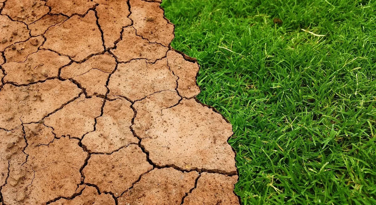 UNESCO: 90% of world's land to be degraded by 2050