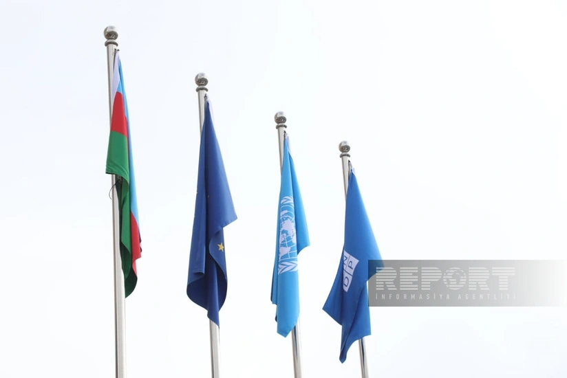 UNDP: ANAMA operates at high level