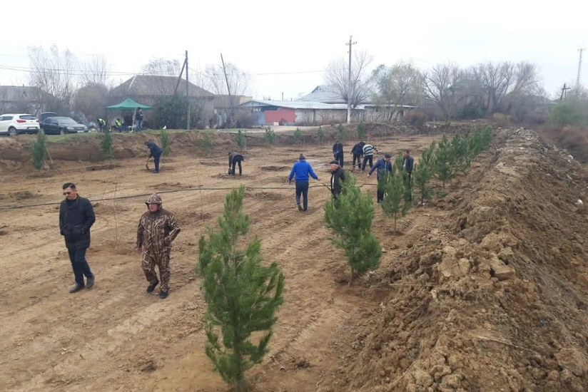 Biləsuvarda tullantılar atılan ərazidə “Ahıllar bağı salınır