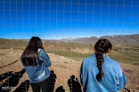 Bir qrup şagirdin Şamaxı Safari Parkına ekskursiyası təşkil olunub - FOTO