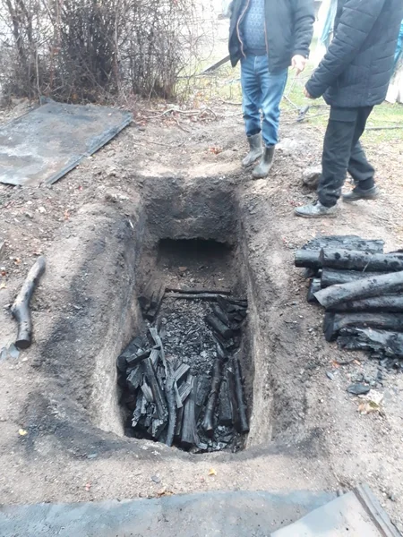 Oğuzda qanunsuz yolla əldə edilən meşə materialları və kömür hazırlanan quyular aşkar edilib