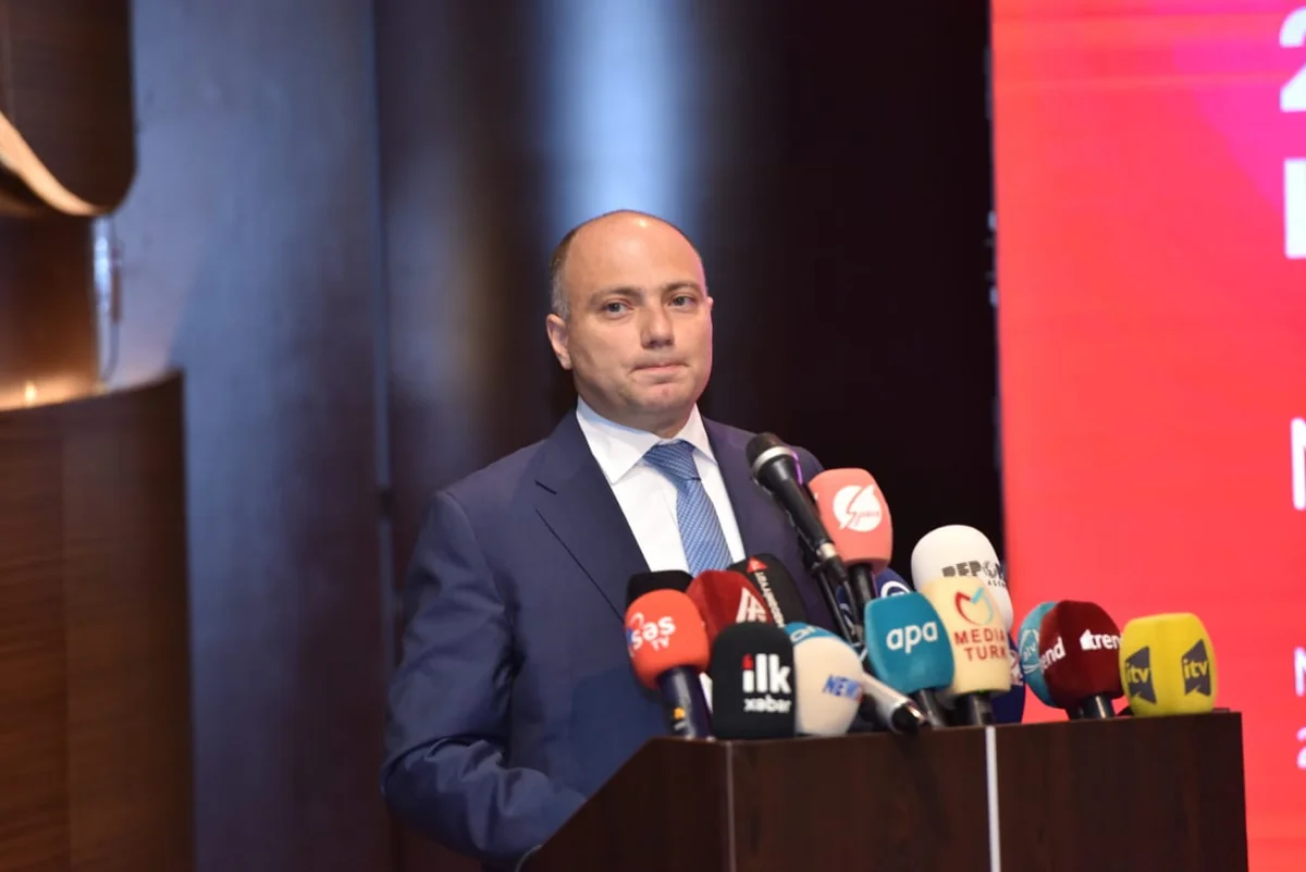 Anar Karimov lashes out at activities of some museums, theaters