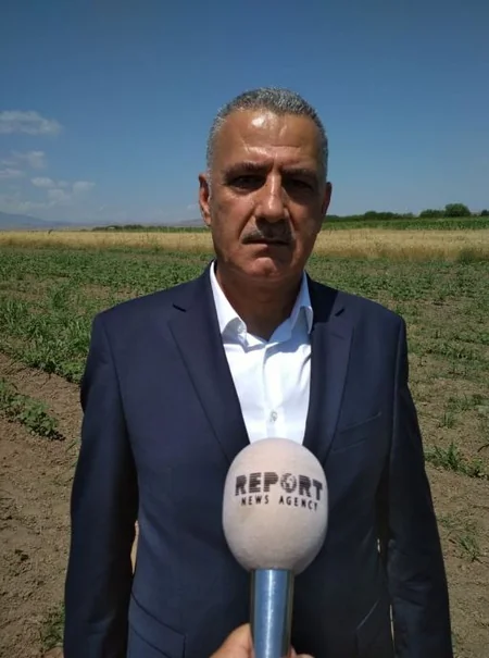 Dövlət Fitosanitar Nəzarəti Xidmətinin rəhbəri Tərtərin zəhərlənmə baş vermiş pambıq sahəsində olub