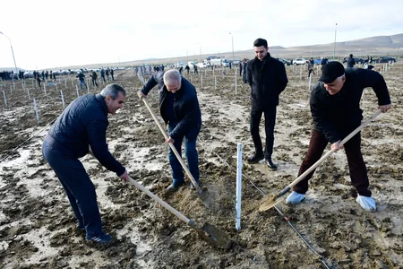 Tree-planting campaign held on 30th anniversary of New Azerbaijan Party