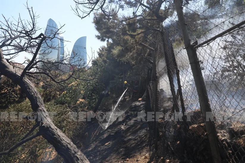 Bakının mərkəzində ağaclıq ərazidə baş verən yanğın söndürülüb
