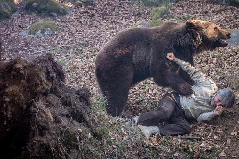Rusiyada ata və oğul ayının hücumu nəticəsində həlak olublar