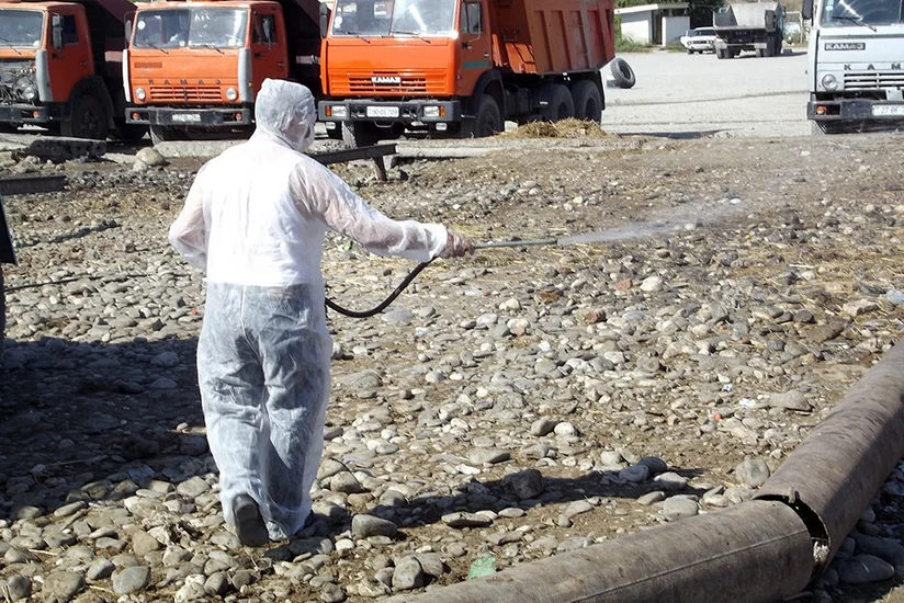 Sabirabad və Xaçmazın diri heyvan satışı bazarlarında dezinfeksiya tədbirləri aparılıb