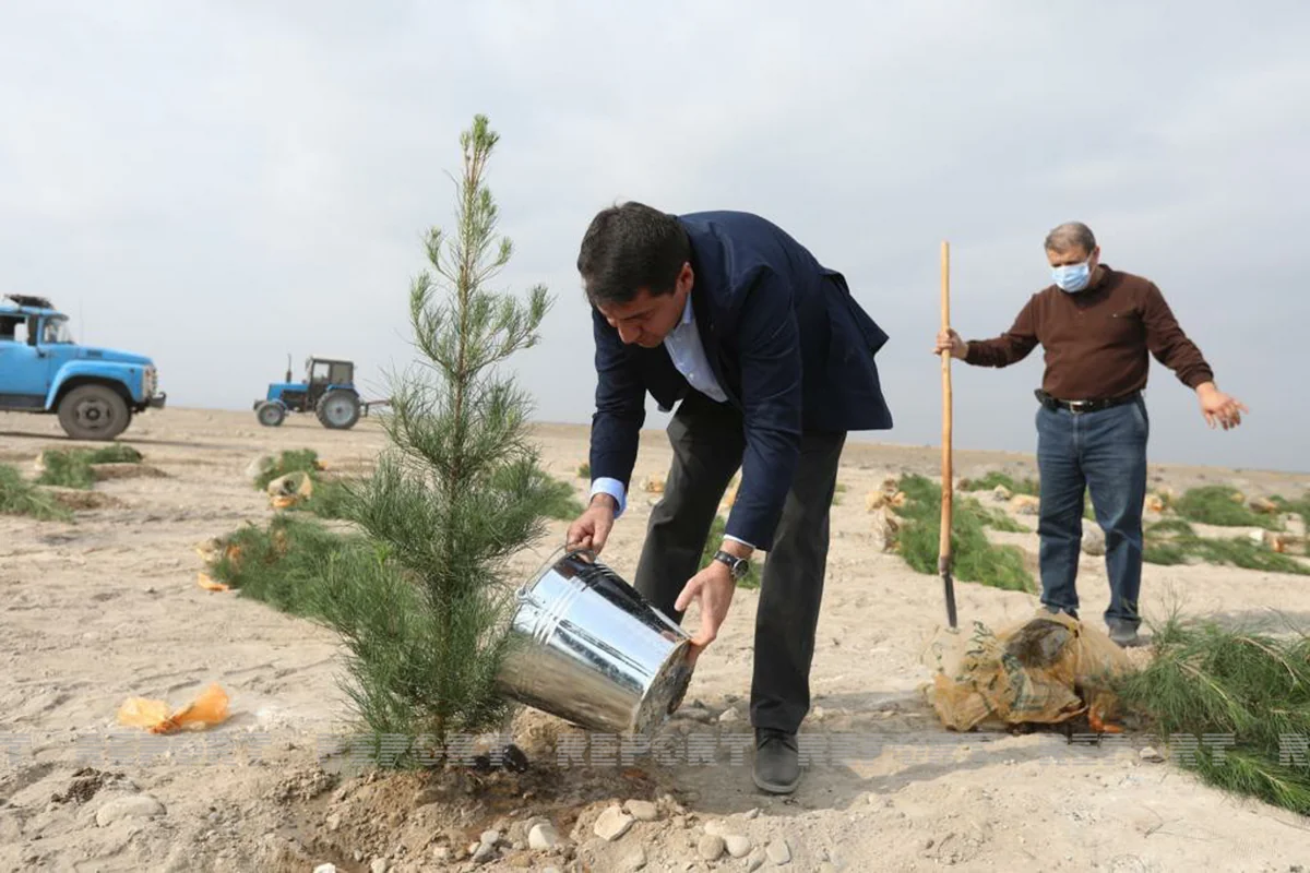 Представители дипкорпуса посадили деревья в Тертере