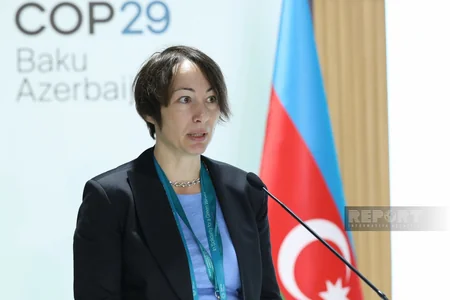 Promoting fair approach to combating climate change discussed at parliamentary meeting in Baku