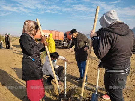 Xocasəndə 2000-dən çox müxtəlif cinsli ağac əkilib