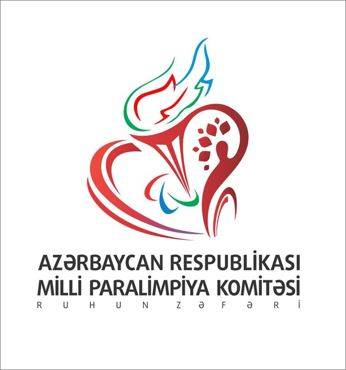 Milli Paralimpiya Komitəsi 2019-cu il üçün gəlir və xərclərini açıqlayıb