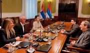 Serbiya parlamentinin dostluq qrupunun rəhbəri Azərbaycana təşəkkür edib