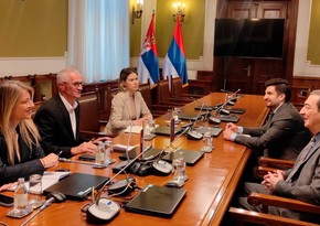 Serbiya parlamentinin dostluq qrupunun rəhbəri Azərbaycana təşəkkür edib